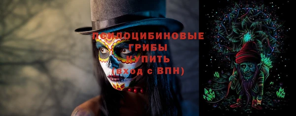 СК Новокубанск