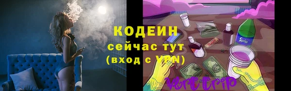 дживик Новозыбков