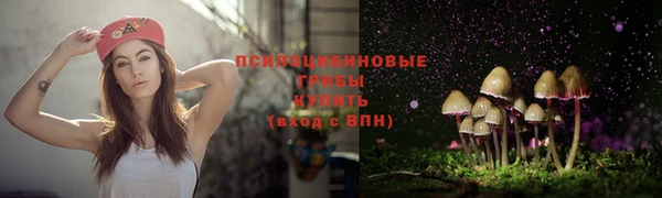 дживик Новозыбков