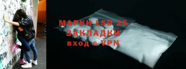 дживик Новозыбков