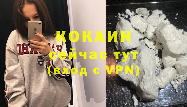 дживик Новозыбков