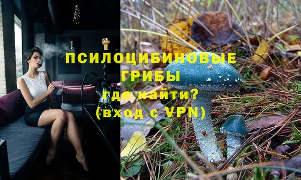 дживик Новозыбков