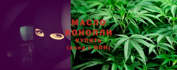 дживик Новозыбков