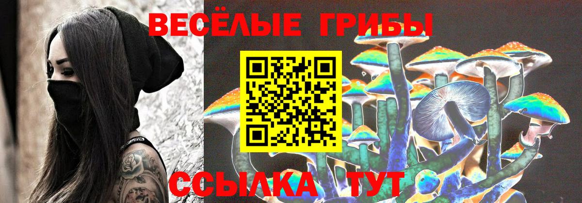 Норильск  Галлюциногенные грибы GOLDEN TEACHER  Галлюциногенные грибы Magic Shrooms  Вход с VPN 