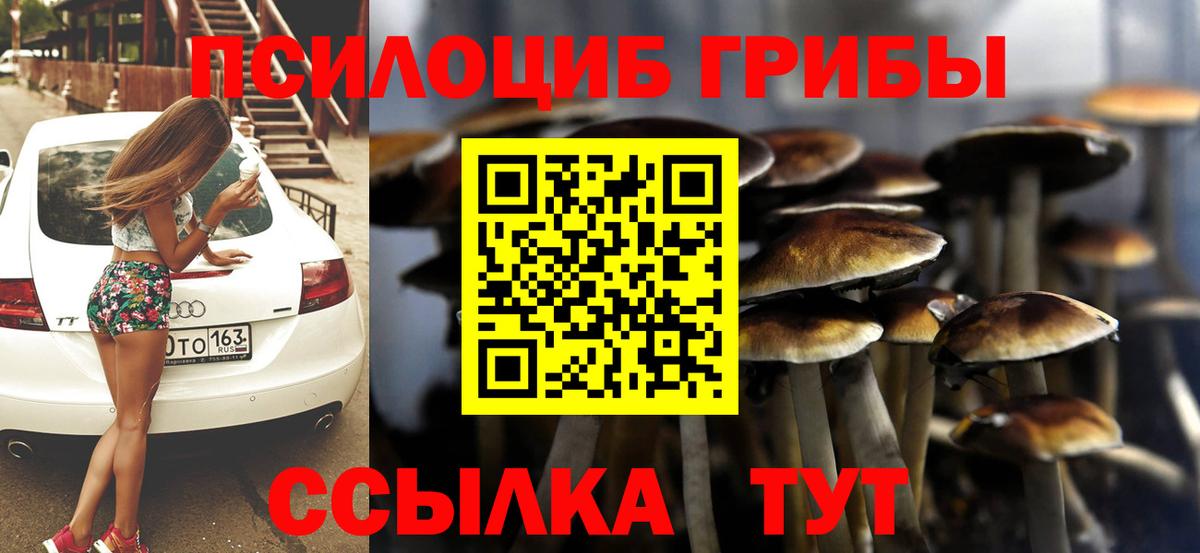 Галлюциногенные грибы Psilocybine cubensis Норильск